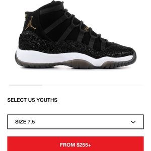 Jordan 11 Retro Heiress Black Stingray (GS)